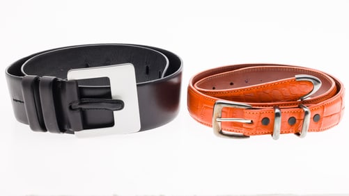 House of Fleming Alligator Belt & Ralph Lauren Belt