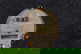 item-207799342=8