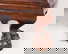 item-207799350=12