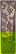 item-207799372=11