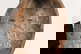 item-207799689=8