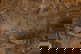 item-207799727=7