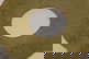 item-207825183=7