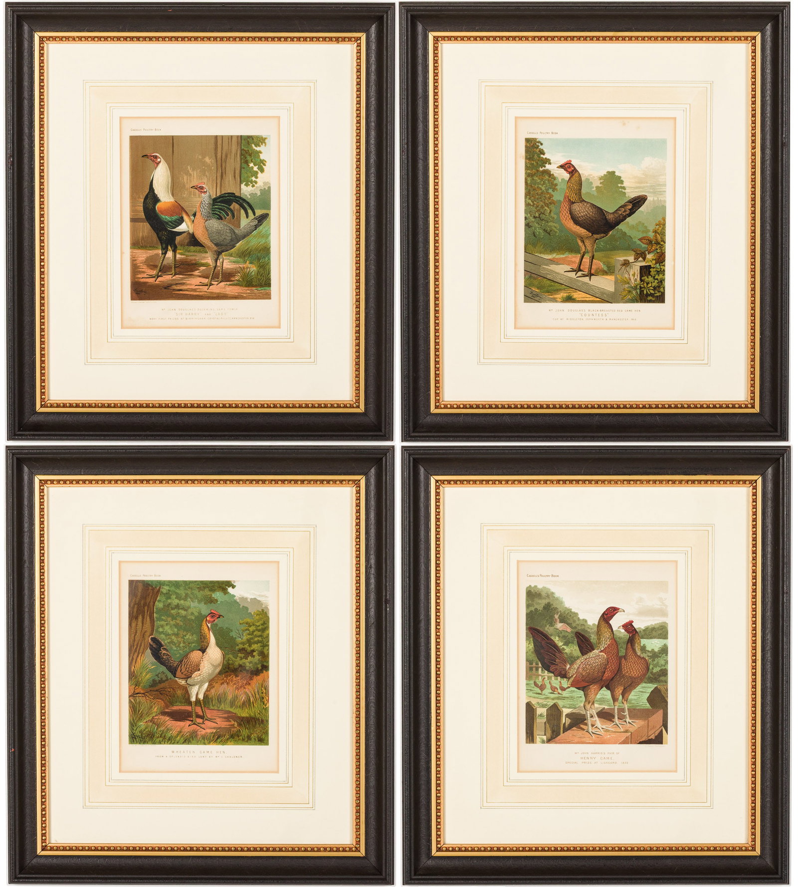 4 Cassell Game Hen Lithographs: Property from a Private Collector, Savannah, GA Description: 4 Cassell Game Hen Lithographs, comprising four pages from Cassell's Poultry book including: Mr. John Harris's Pair of Henny Game, Spec