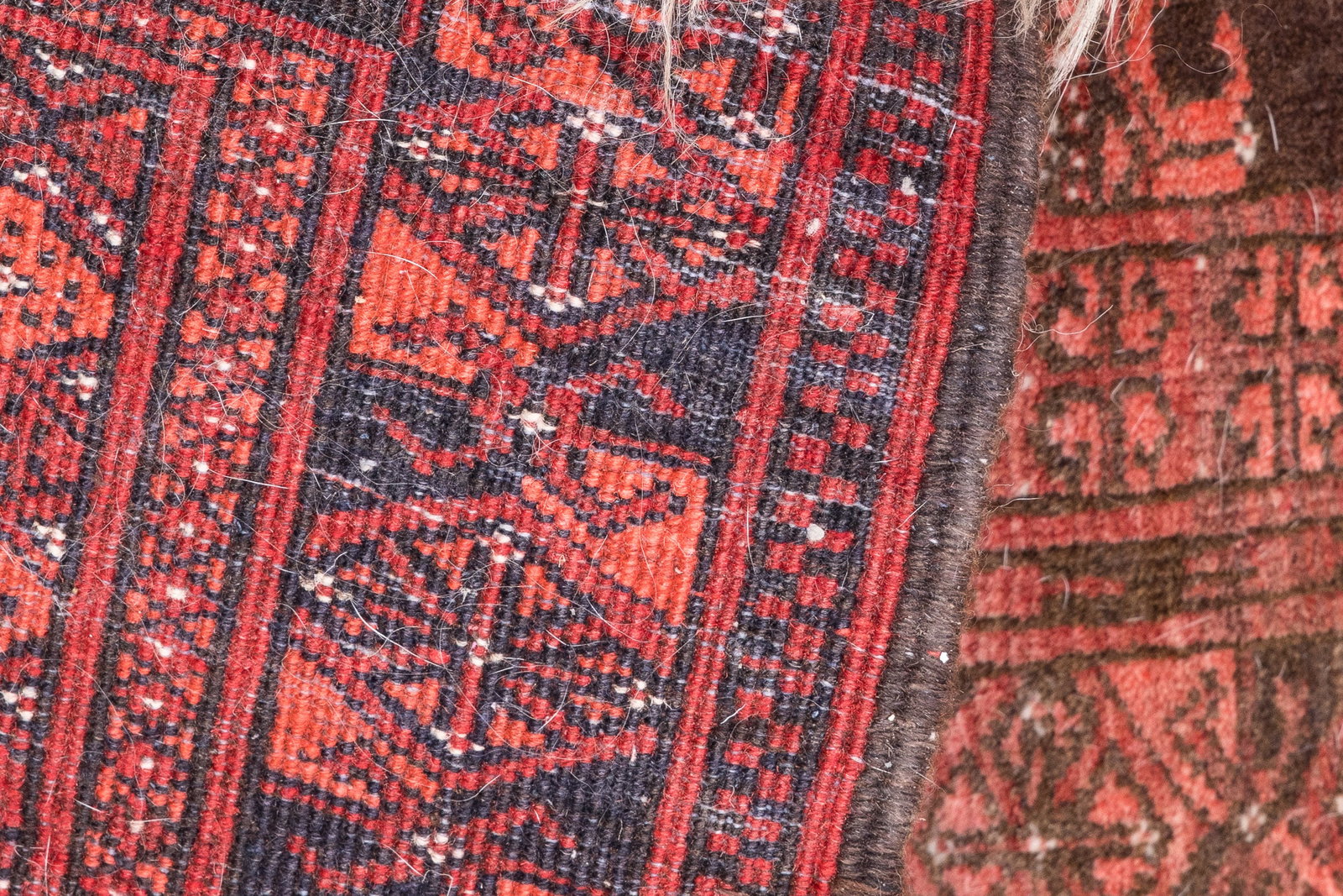 Persian Rug - 10