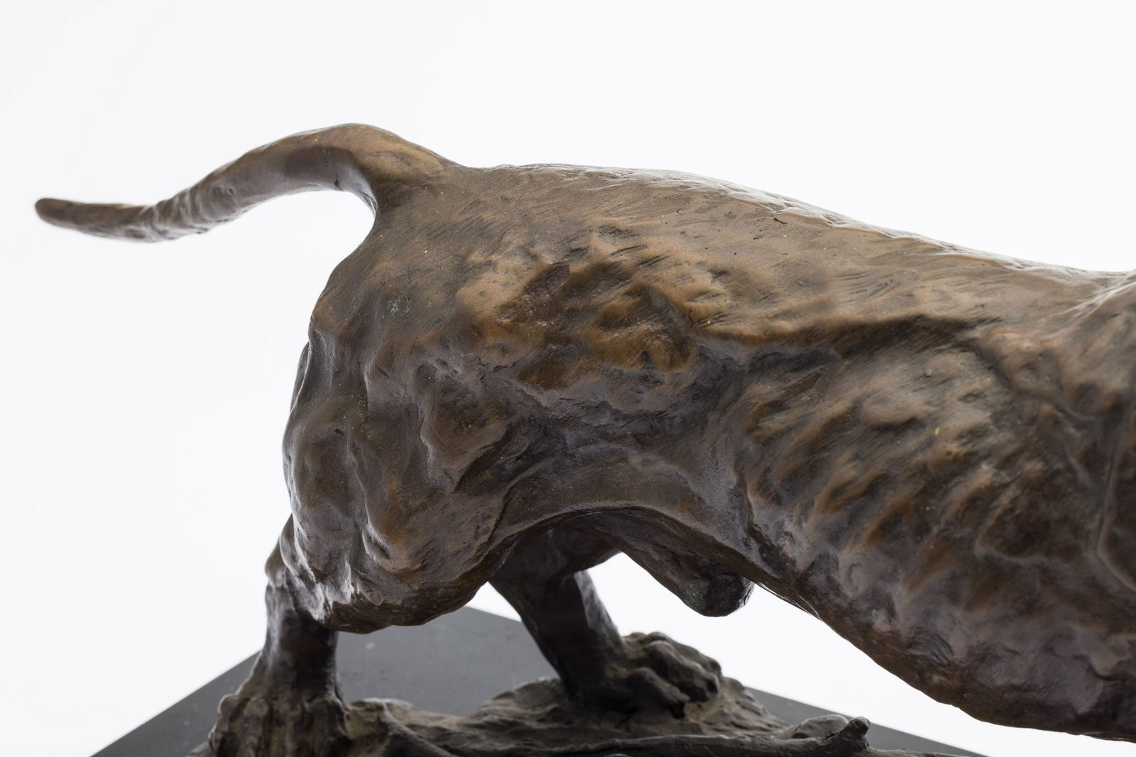 Unsigned, Dachshund, Bronze - 7