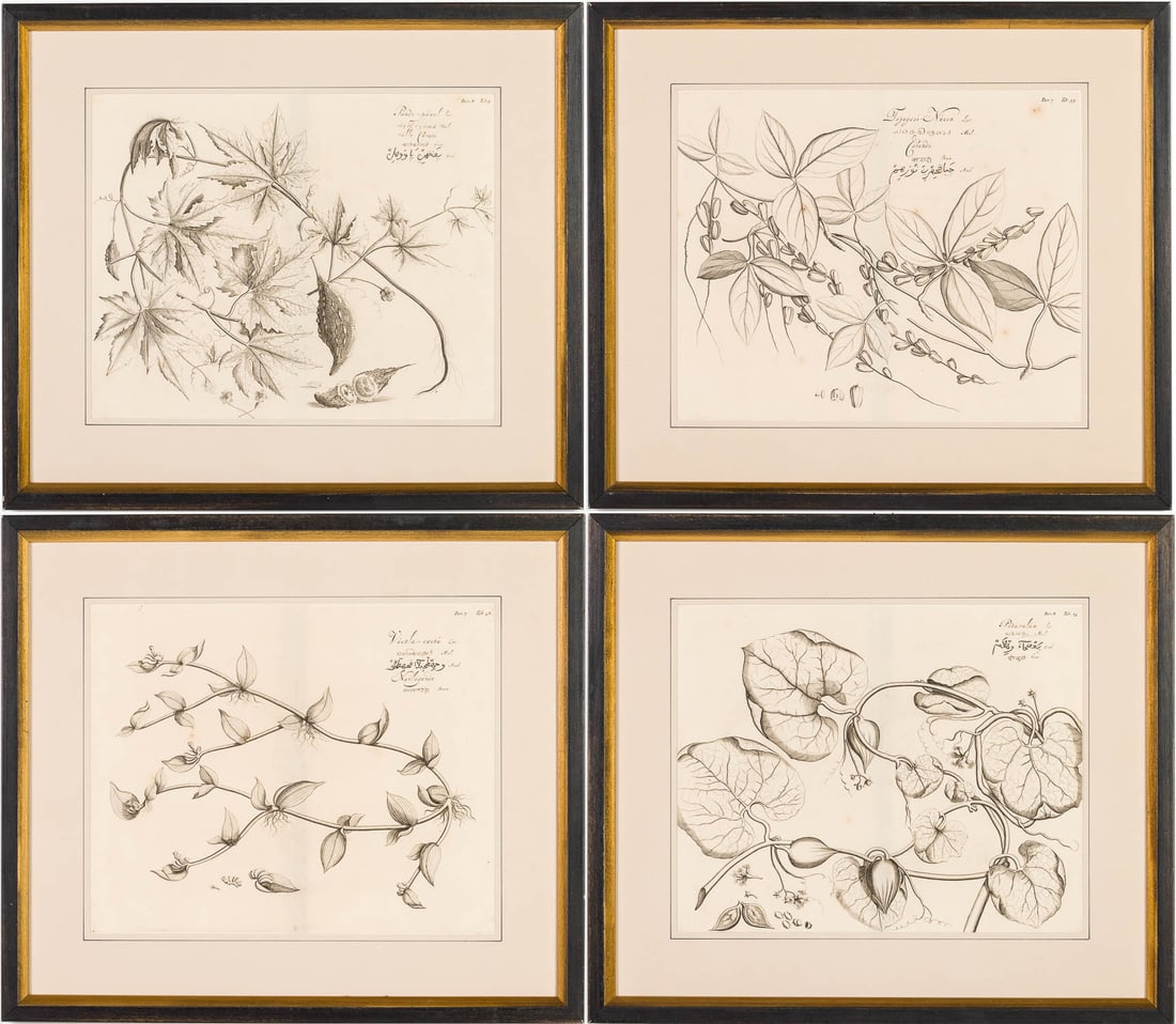 Hendrick Drakenstein, 4 Floral Engravings, 17th C (1 of 20)