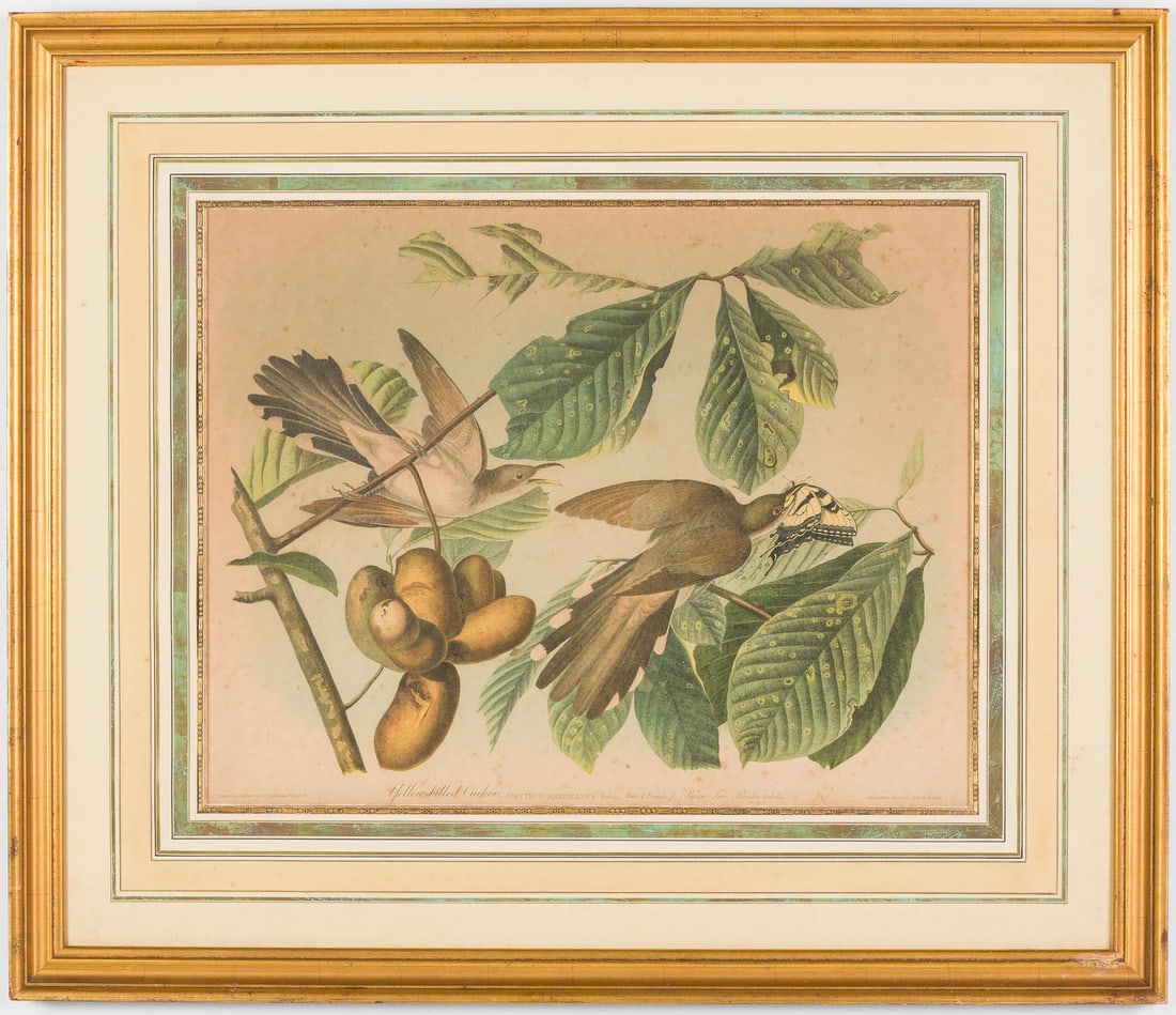 J J Audubon,Yellow-Billed Cuckoo Bien Edition, 1859 (1 of 13)