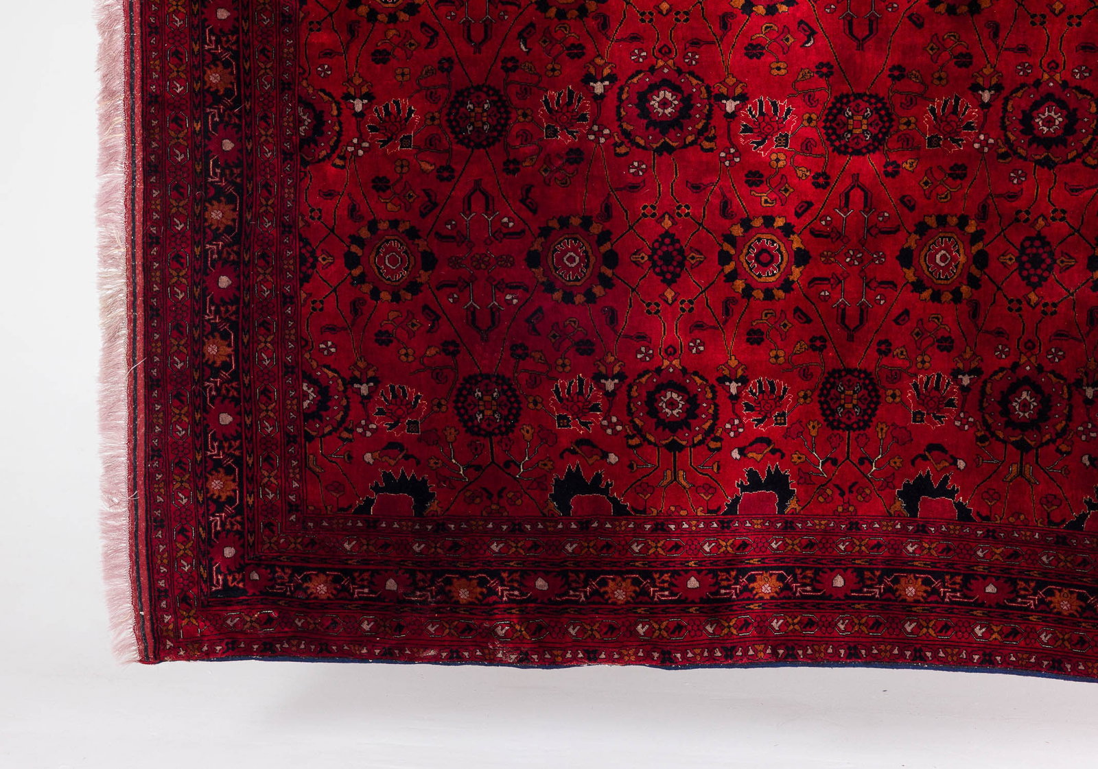 Persian Rug - 5