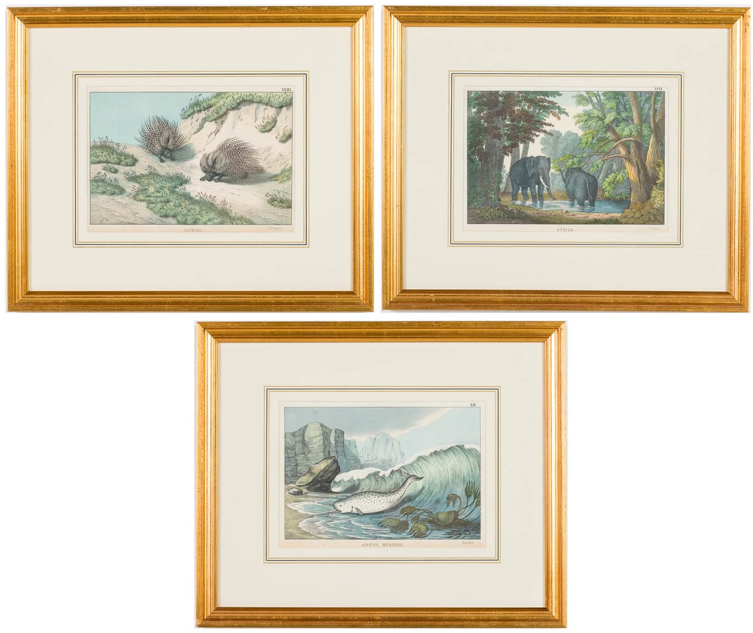 3 Handcolored Engravings of Animals (1 of 17)