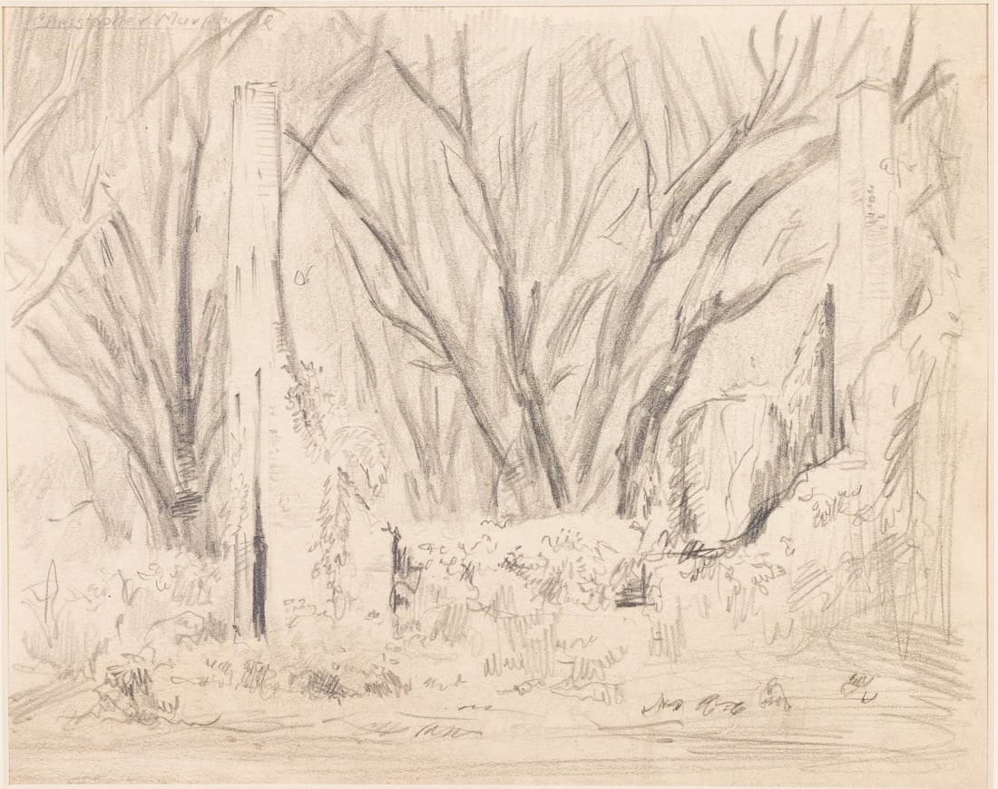 Christopher Murphy Jr., Hermitage Hospital, Graphite (1 of 8)