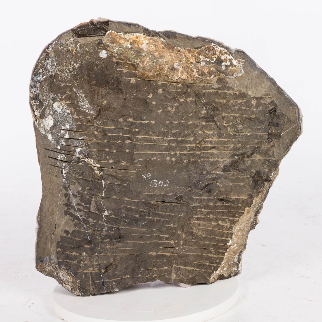 Large Mineral Specimen - 5