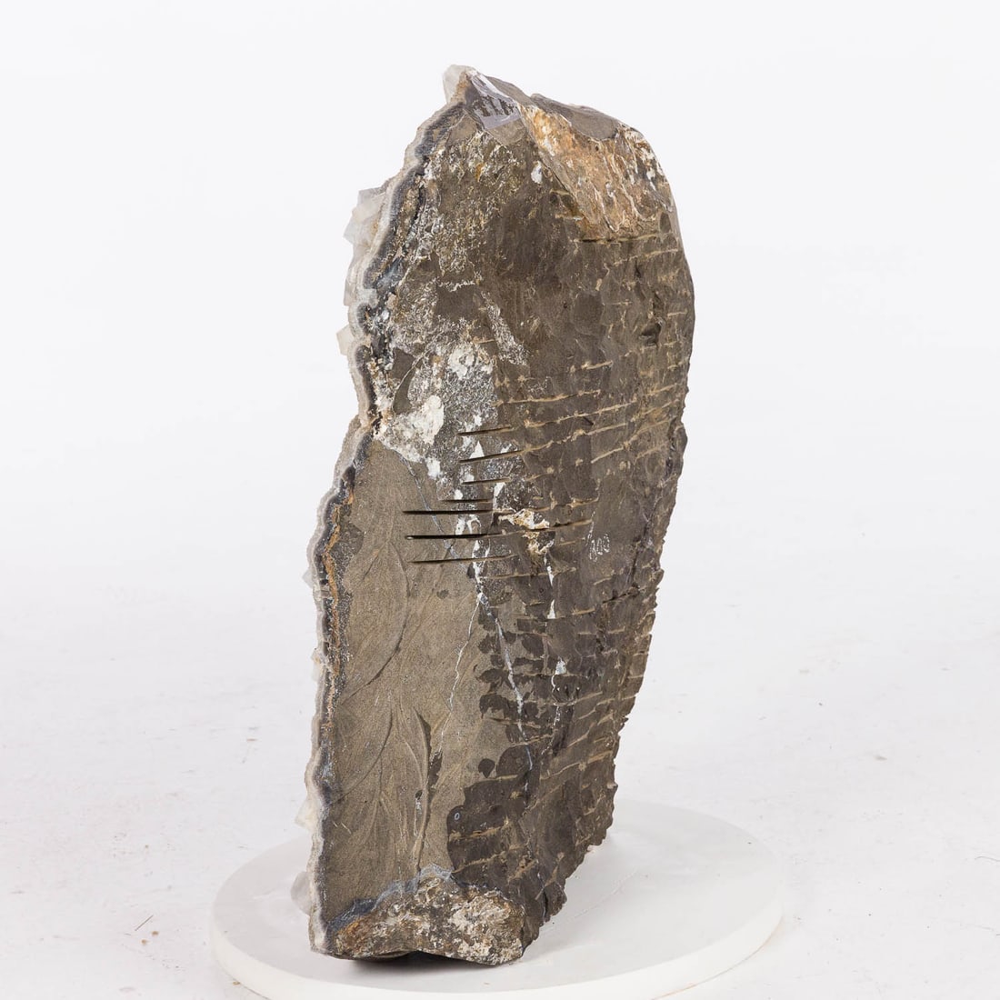 Large Mineral Specimen - 6