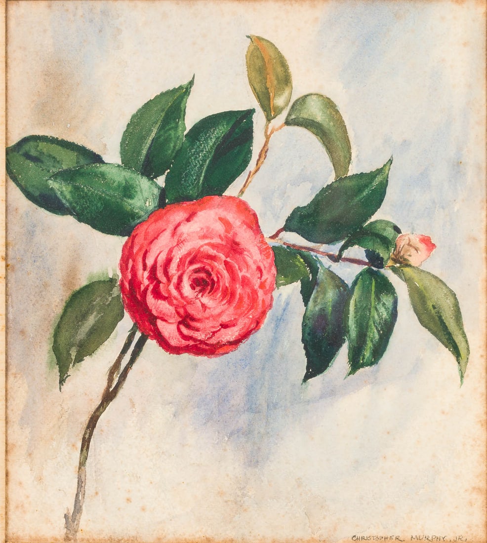 Christopher Murphy Jr. (Sav, 1902-1973) Camelia, W/C: Property from The Christopher P. H. Murphy (Sr.) Family Estate Collection, Savannah, GA Description: Christopher Murphy Jr. (Savannah, 1902-1973), Camelia, Watercolor, signed lower right, Savannah