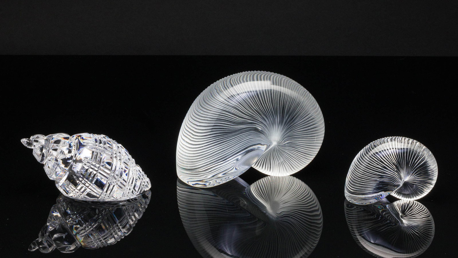 Two Baccarat Shells and a Waterford Shell (1 of 4)