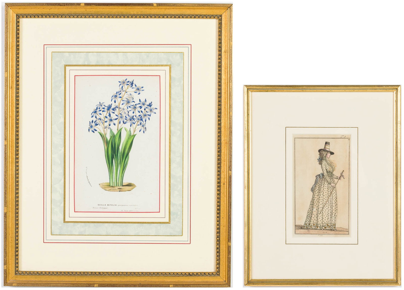 Botanical Lithograph and Handcolored Engraving: Description: Botanical Lithograph and Handcolored Engraving, comprising a 1792 fashion handcolored plate with a woman wearing coat-style dress and cylindrical hat; and a botanical print of Scilla