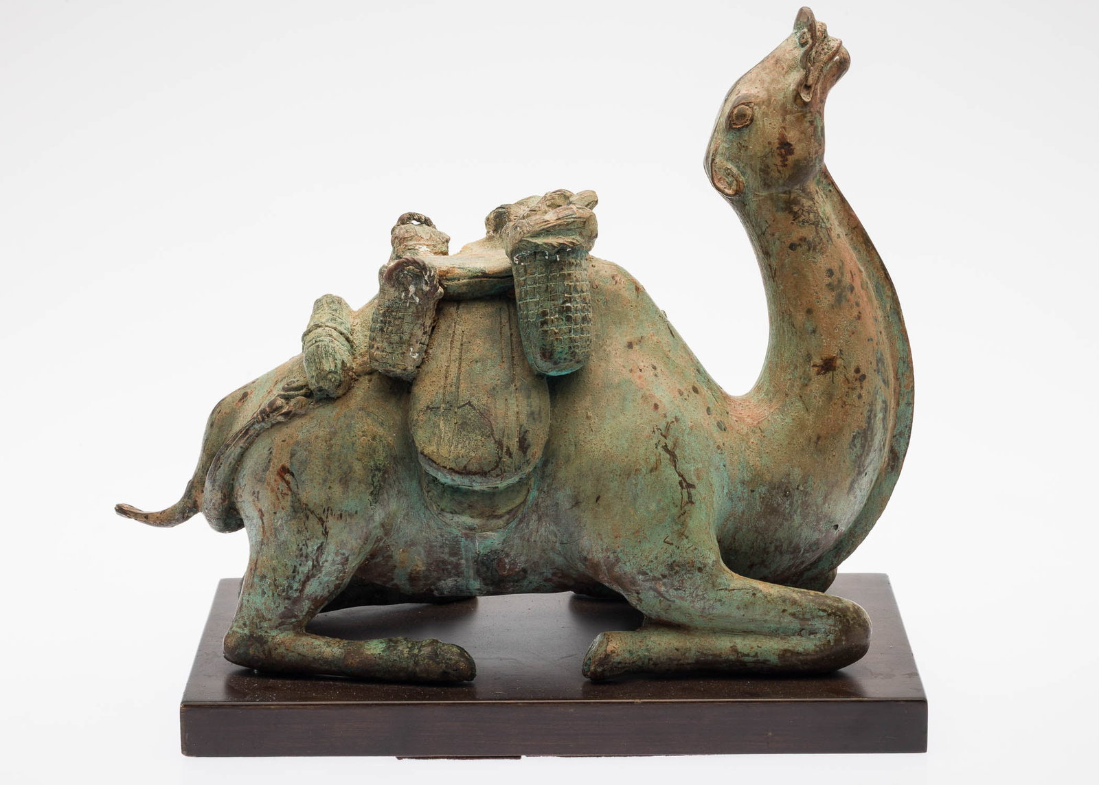 Metal Camel - 4