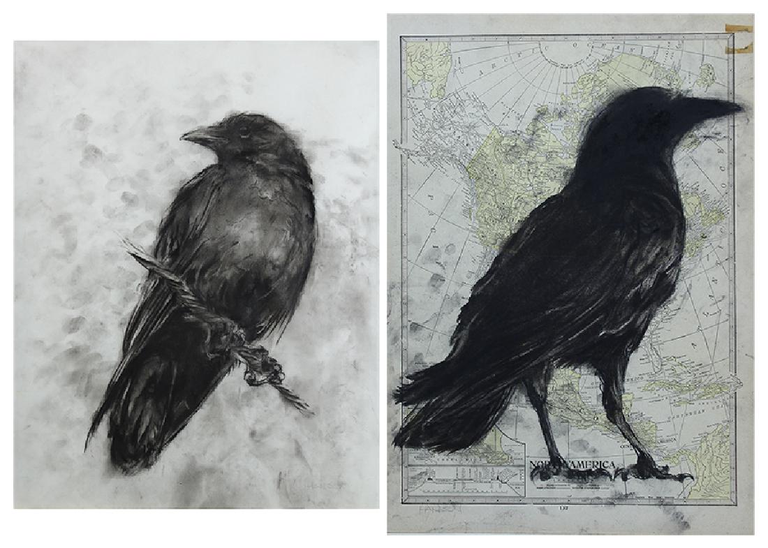 Lynn Hanson (20th/ 21st Century) Californian (two): CROWS, two charcoal drawings on paper, one on a map of North America, both signed lower left, sheets 14 x 11” & 14 ½ x 10 ¼”, the map with a small pre-existing tape stain upper right corner, bot
