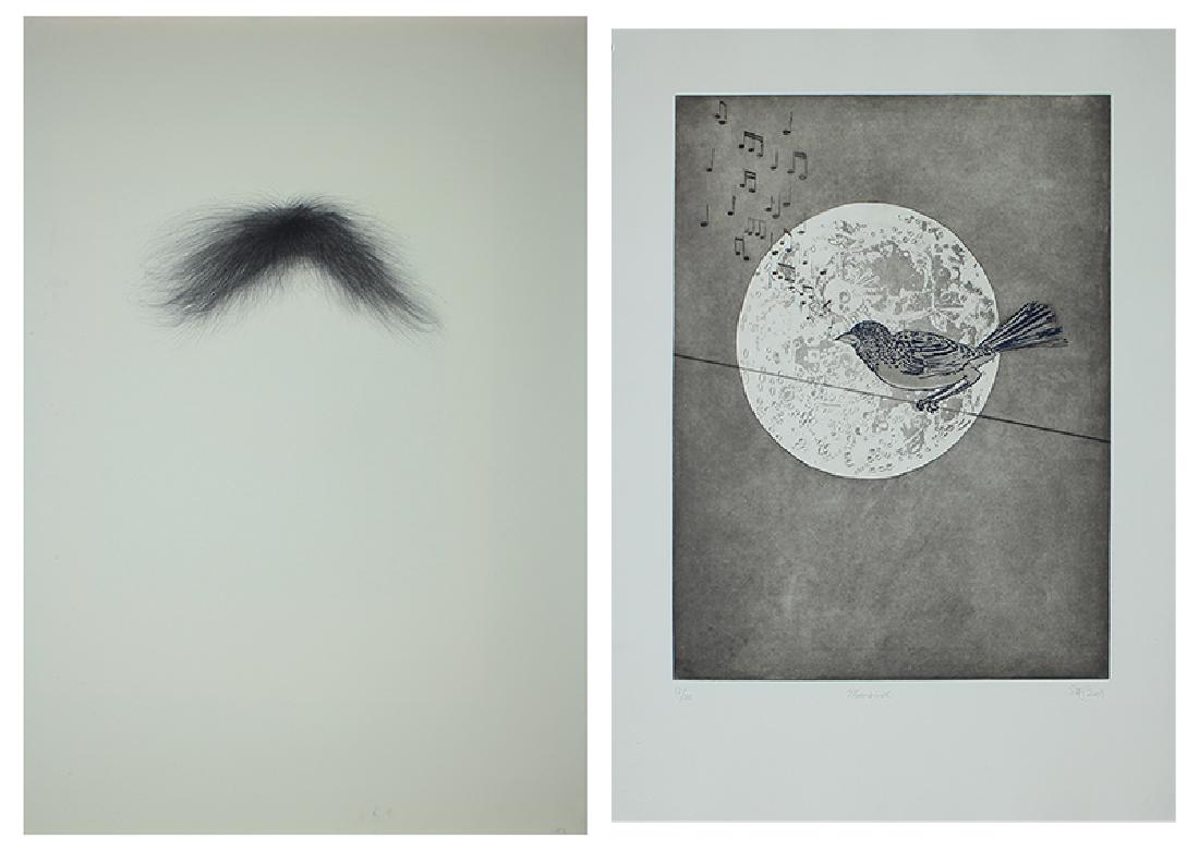 Stas Orlovski (b. 1969) Russian/ Californian (two): MUSTACHE, 1996, pencil drawing on paper, signed and dated lower right, sheet 44 x 30 ¼”, smudges, soft handling creases, pale speckling, otherwise in good studio condition; MOON BIRDS, 2004, etchin