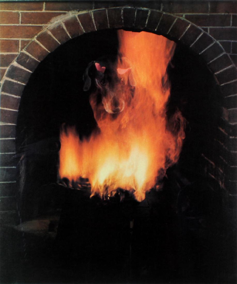 William Wegman (b. 1943) New York (1 of 1)