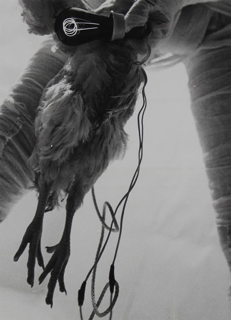 Rudolf Schwarzkogler (1940-1969) Austrian (1 of 2)