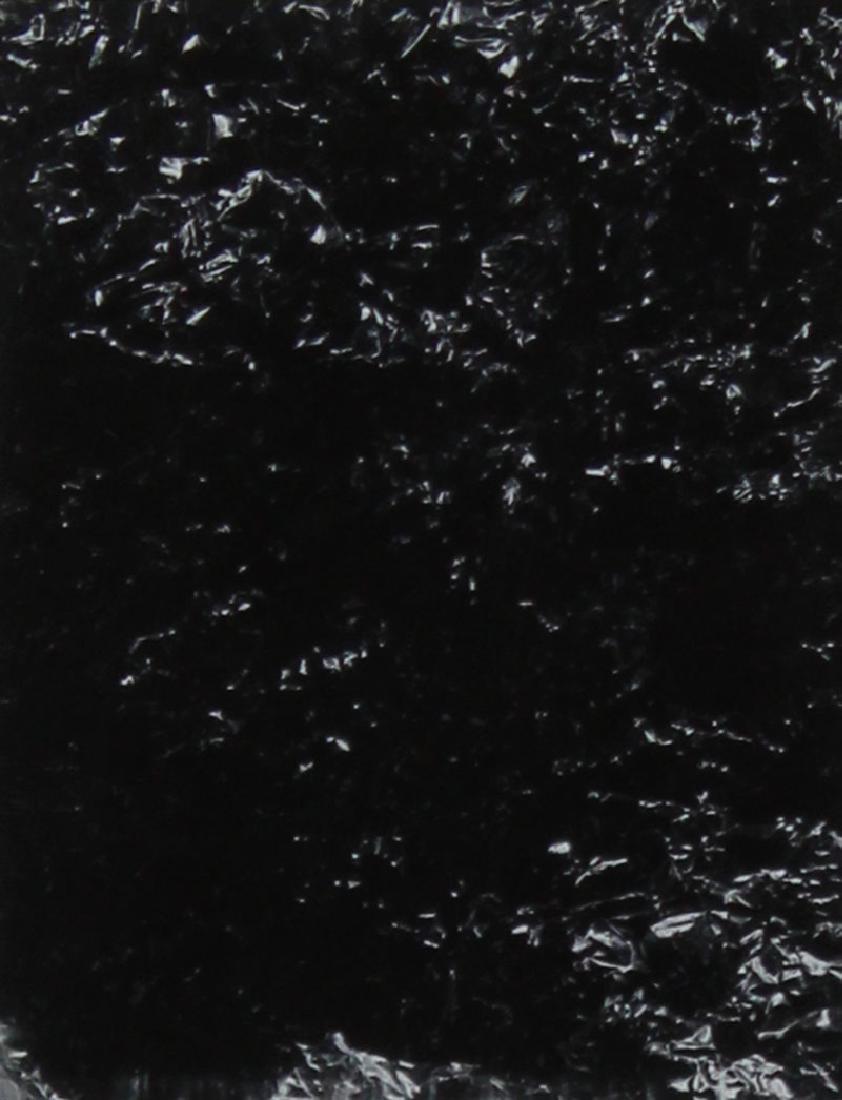 James Welling (b. 1951) California (1 of 2)