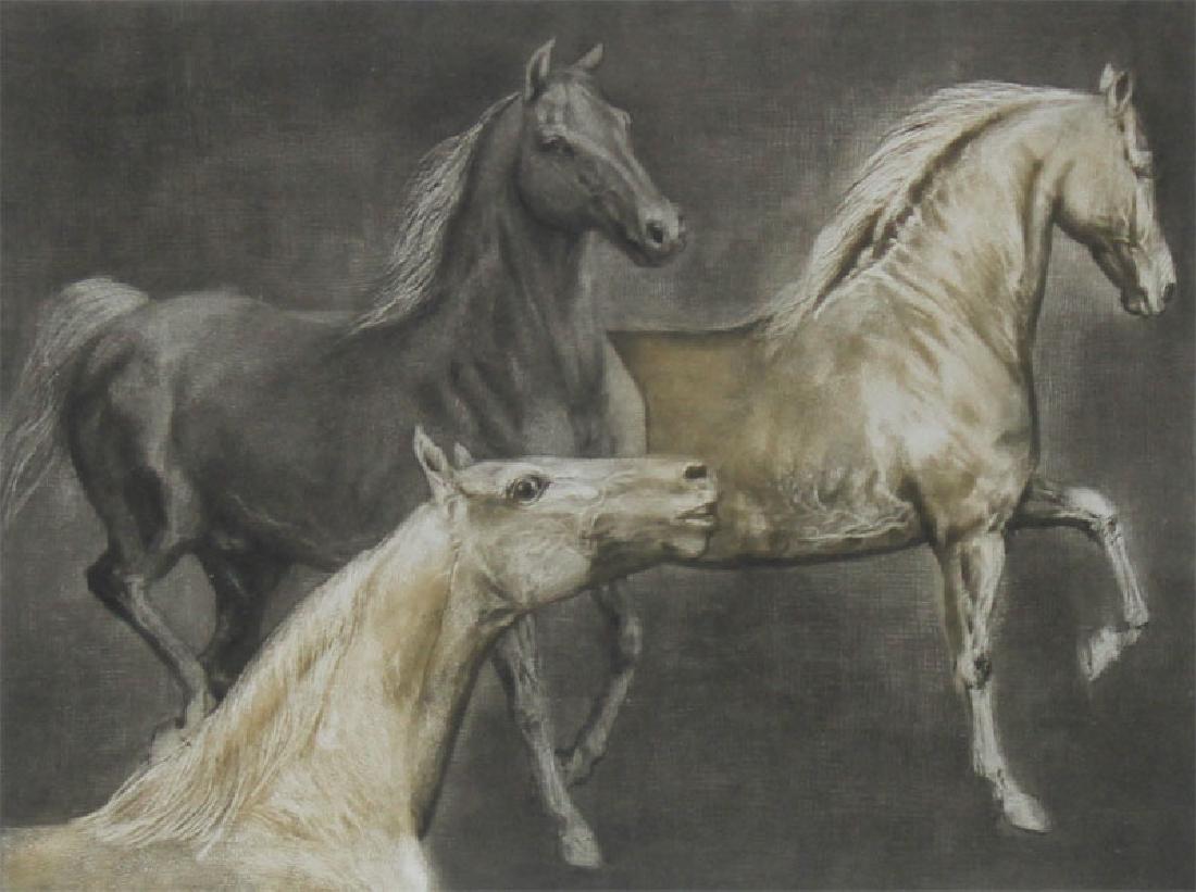 G. H. Rothe (1935-2007) German: MORGANS (R.79), 1982, color mezzotint, a lighter variant other than Restany illustrates, signed and titled in pencil, numbered 92/150, image 8 ¾ x 11 ½”, full margins, framed.
