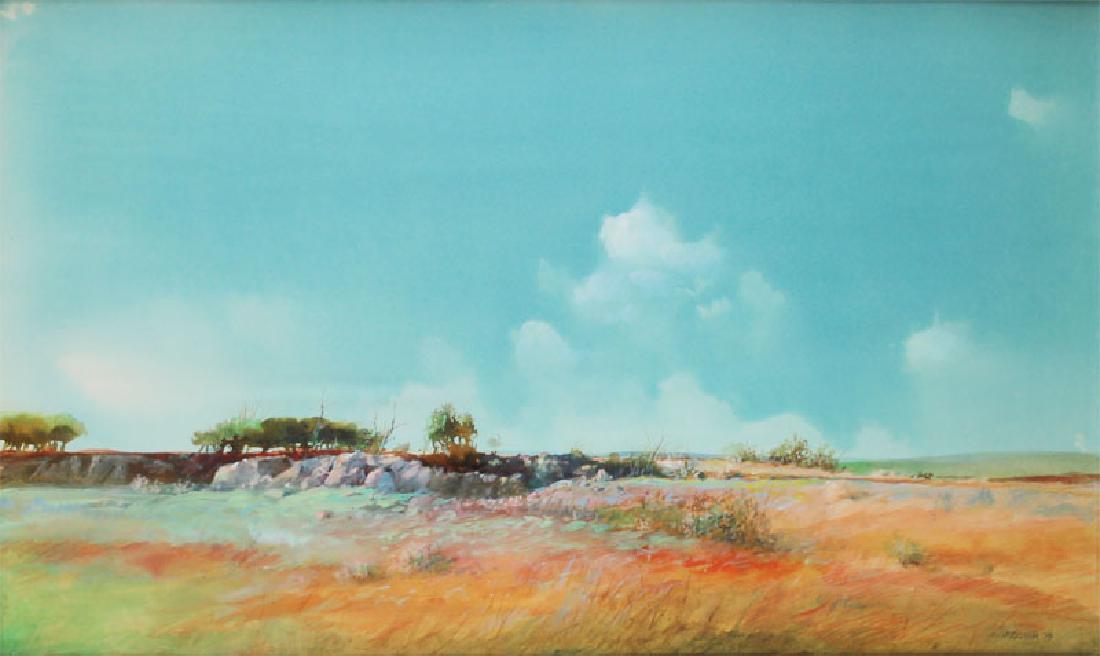 Tom Perkinson (b. 1940) New Mexico (1 of 2)