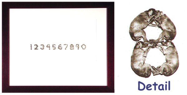 William Wegman (b.1943) American: NUMBERS (with Fay Ray and pups, Battina, Crooky & Chundo the heirs of Man Ray), 1997, photogravure, signed in pencil, from the numbered edition 100, image 10 ½ x 16 ½", full margins, printed by Thor