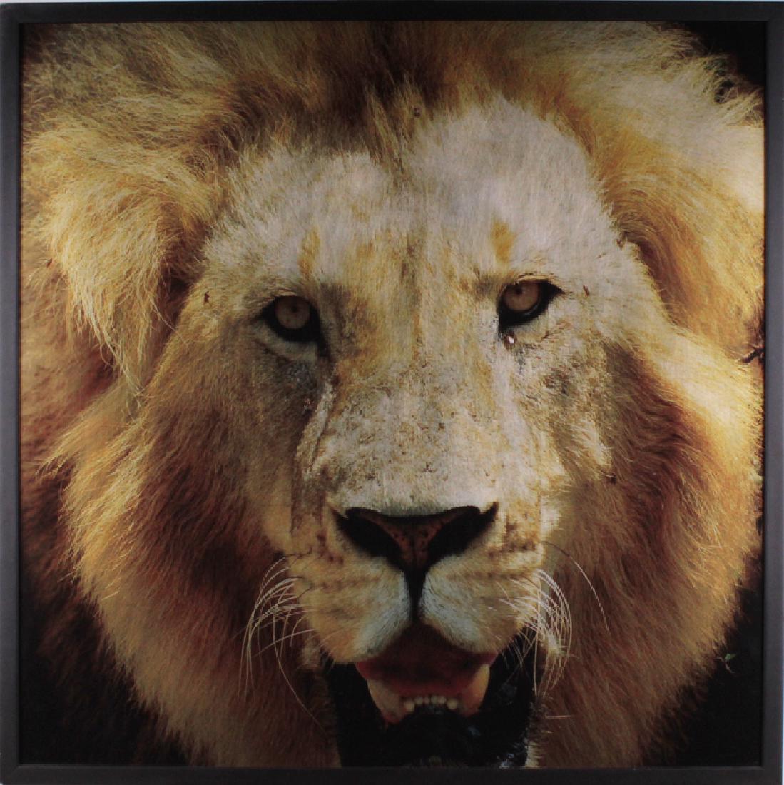 Artist Unidentified (20th/21st Century) (1 of 1)