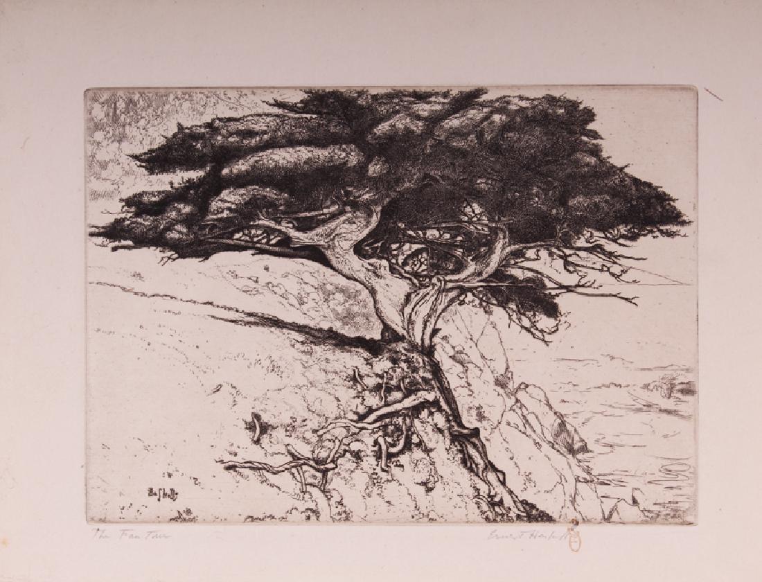 Ernest Haskell, Phil Dike, Noel Quinn (5), Dennis: Ernest Haskell, Phil Dike, Noel Quinn (5), Dennis Porzeski (4) (11), Ernest Haskell THE FAN TREE (Carmel), circa 1915, etching, signed in pencil, from the edition 24, small stamp near signature, image