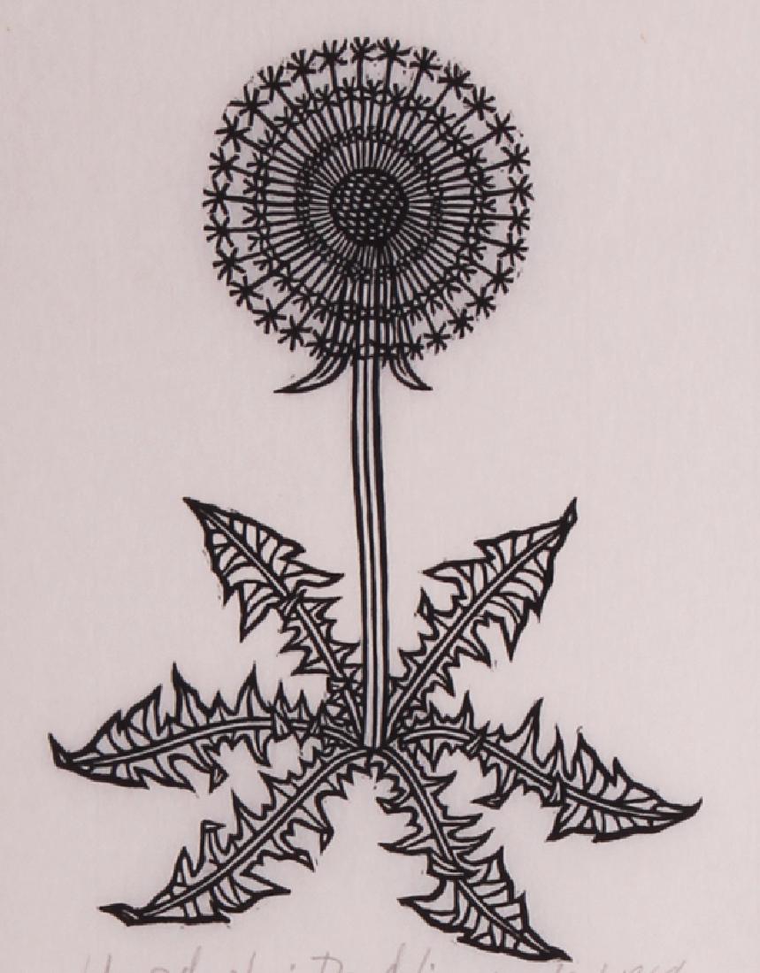 Jacques Hnizdovshy (1915-1985) Ukrainian/ American: DANDELION, 1964, woodcut print, signed in pencil AP 10/35 (artist’s proof), image 7 ¼ x 5”, full margins, frame 17 ½ x 13 ½” with glass. Proceeds to benefit the San Diego Zoo.