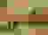 item-74371379=2