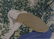 Alex Katz (b. 1927) New York