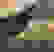 item-74371478=2
