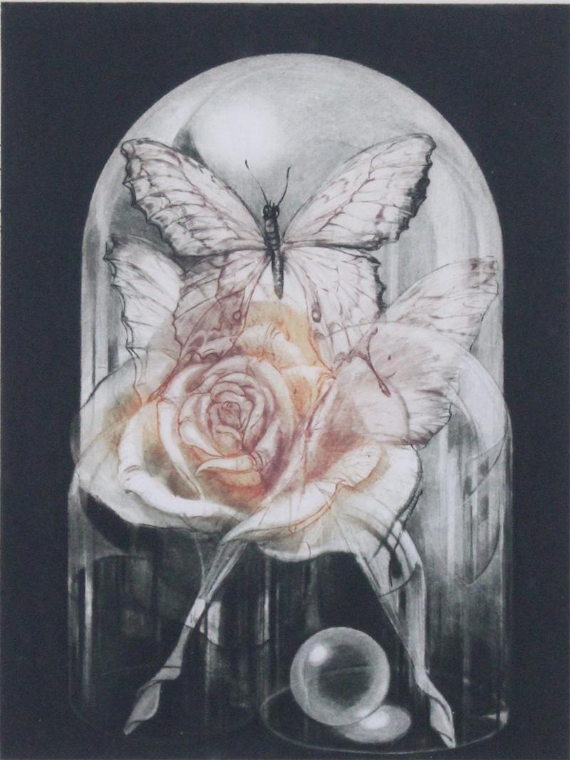 G. H. Rothe (1935-2007) German: MEMORY (R.92), 1975, color mezzotint etching with hand-inking, signed in pencil and titled “the Rose”, numbered 40/99 (Restany calls for 60), image 11 ¾ x 8 ¾”, full margins, frame 21 x 18” 