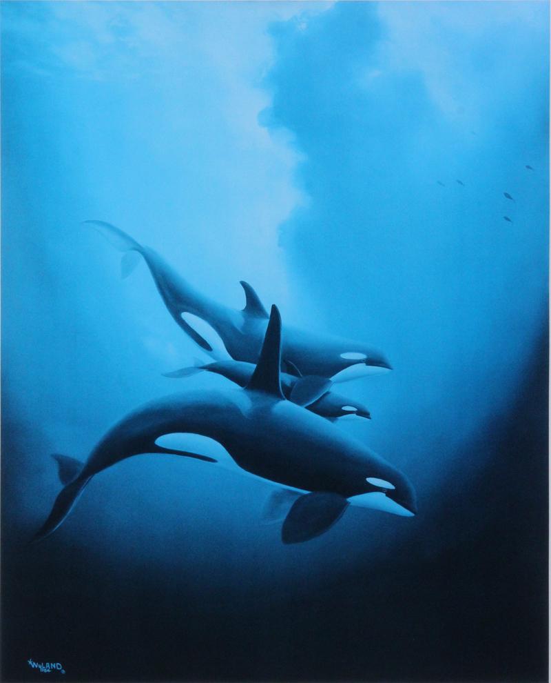 Robert Wyland (b. 1956) California Hawaii: ORCA TRIO, 1986, color offset lithograph with original watercolor remarque, signed in pencil and numbered 448/450, signed by remarque, image 27 x 21”, full margins, Koa wood frame 44 ½ x 38” with