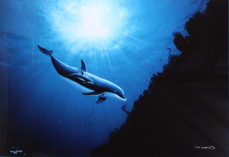 Robert Wyland (b. 1956) California Hawaii: DOLPHIN VISION, high finish offset color lithograph with hand-painting, signed and numbered A/P 1/95 (artist’s proof) in silver marker, sight 25 ¼ x 39 ¼”, Koa wood frame 38 ½ x 52 ¼”. Prove