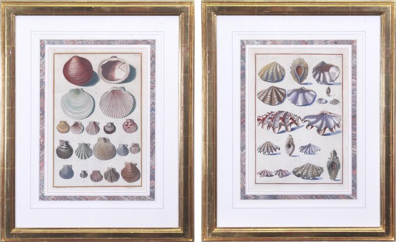 Pietro Antonio Pazzi (1701-1776) Italian (two) (1 of 4)