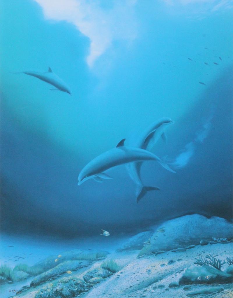 Robert Wyland (b. 1956) California Hawaii (1 of 4)