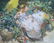 Jose Royo (b. 1941) Spain
