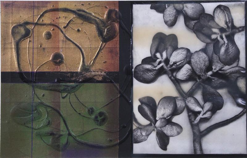 Kaoru Mansour (20th Century) Japan California: MORI #173, JADE PLANT, mixed media on paper, signed and titled in pencil in the margins, image 9 ¾ x 15 ½”, full margins, frame 21 ¾ x 33 ½ x 2 ¼”. Provenance: Four Seasons Hotel, Carlsbad 19
