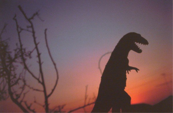 Nobuyoshi Araki (b. 1949) Japanese (four): GODZILLA, four test iris prints on thin wove paper, images 24 x 36", with various size margins, two with margins, two without margins, surface scuffs, soft handling creases, otherwise in good conditio
