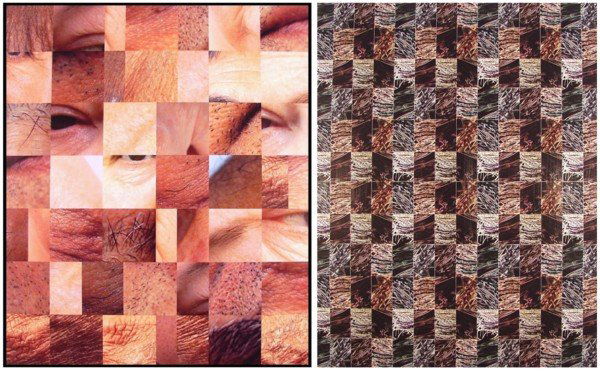 Ken Gonzalez Day (b. 1964) American (two): FACES & BLADES OF GRASS 1, two color c-prints, one signed and numbered 2/5, sheets 50 x 42 ½ & 49 ¾ x 38 ¾", printed by Muse X, both mounted on aluminum. (2)