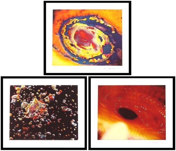 Victor Raphael (b. 1950) Californian (eight): YELLOW COSMOS; UFO; SPACE FIELD, 1996, three color iris prints, each signed in pencil, from the numbered edition 50, image 19 x 23 ¼", full margins, printed by Muse X, blindstamp, framed; Together wi