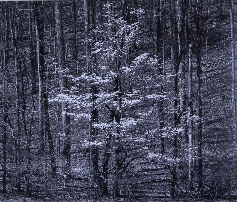 Henry Gilpin (1922-2011) Monterey Californian (1 of 2)