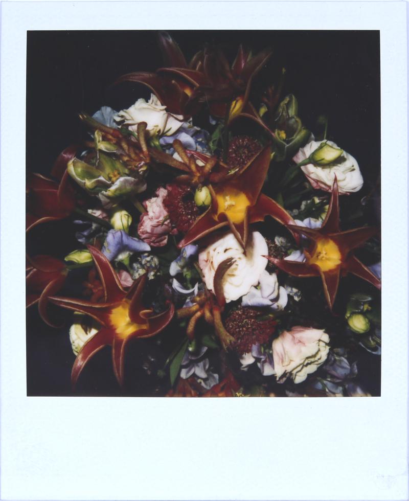 Araki Nobuyoshi (b. 1940) Japanese (1 of 3)