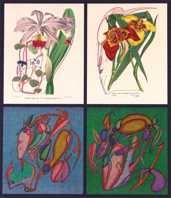 Mihail Chemiakin (b. 1943) Russian: BOTANICAL, four color lithographs on one sheet, signed in pencil, from the numbered edition 45, image 26 ½ x 23", full margins, old linen hinges on verso, a few soft handling creases, otherwise in go