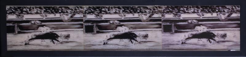 David Florimbi (b. 1961) Santa Barbara: BULL FIGHT, black & white photograph and mixed media on concave foam panel, appears to be signed lower left, 5 ¾ x 29”, frame 7 ¼ x 31 x 2”. From the collection of Laurie Frank,