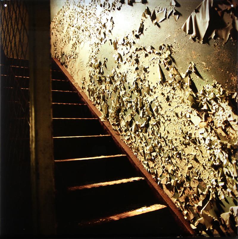 Lisa Rinzler (b. 1956) New Jersey: MAPLE STAIRWELL from The Grass is Green, 2002, printed chromogenic film on glass, signed in silver ink lower right verso, from the edition of 5, size 44 x 44”. From the collection of Laurie Fran